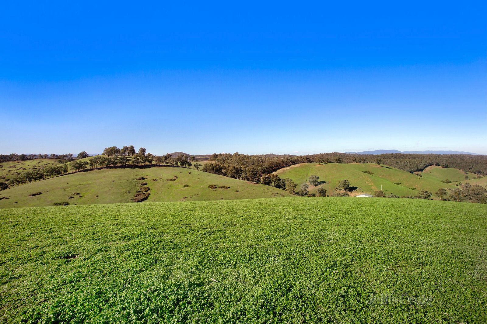 230 Ridge Road, Christmas Hills VIC 3775, Image 2