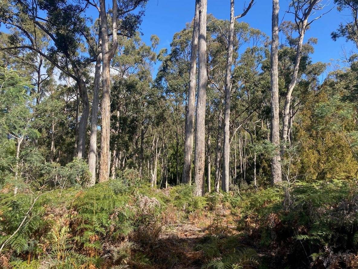 Lot 1 Lightwood Road, Saltwater River TAS 7186, Image 1