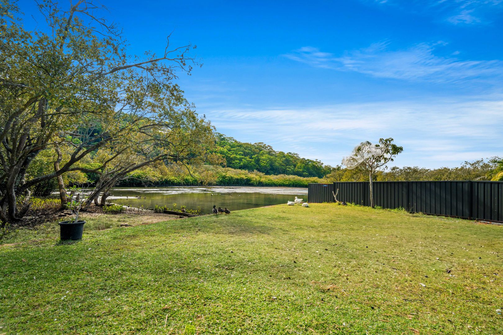 153 Woy Woy Road, Woy Woy NSW 2256 | Domain