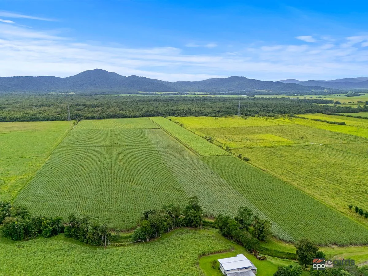 Additional image 7 of 101 Bruce Highway, Bellenden Ker QLD 4871