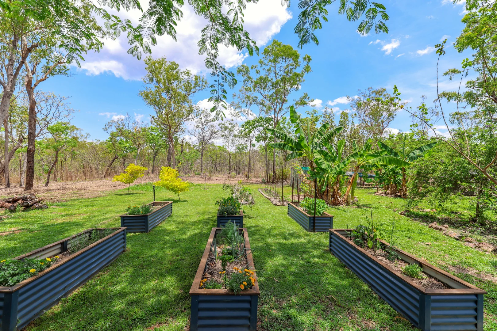 146 Ridgeview Road, Fly Creek NT 0822 | Domain