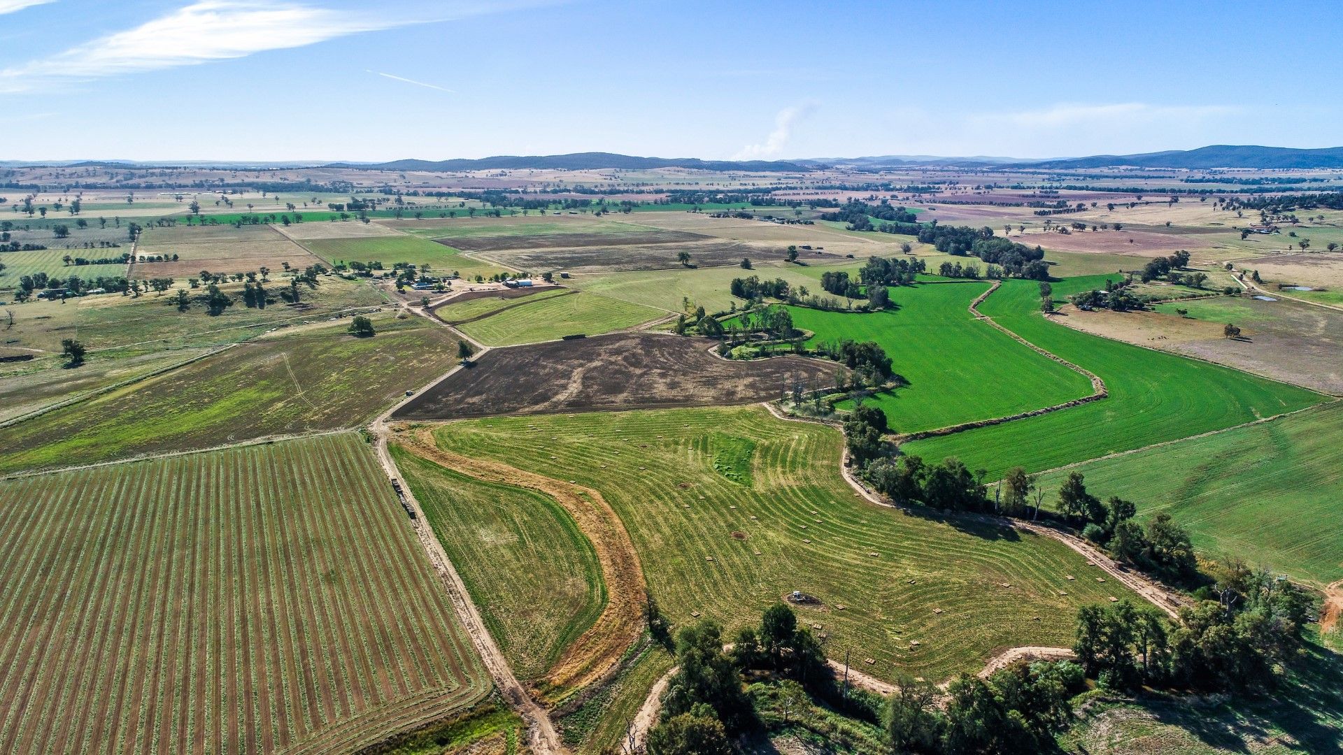 284 Settlement Bridge Road, Canowindra NSW 2804, Image 0