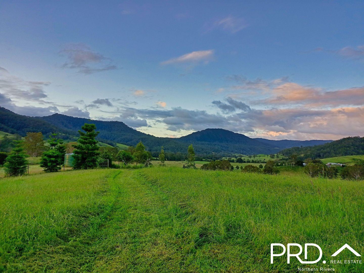 67 Collins Valley Road, Lynchs Creek NSW 2474, Image 1