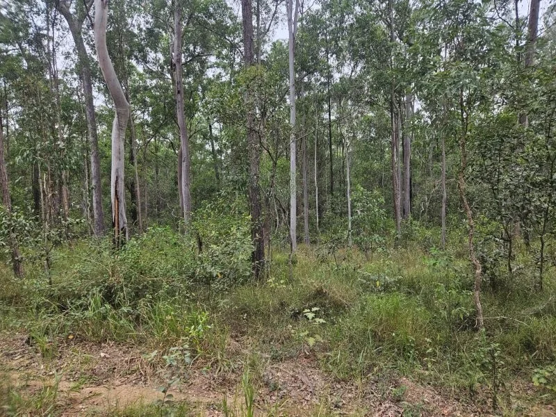 Image 15