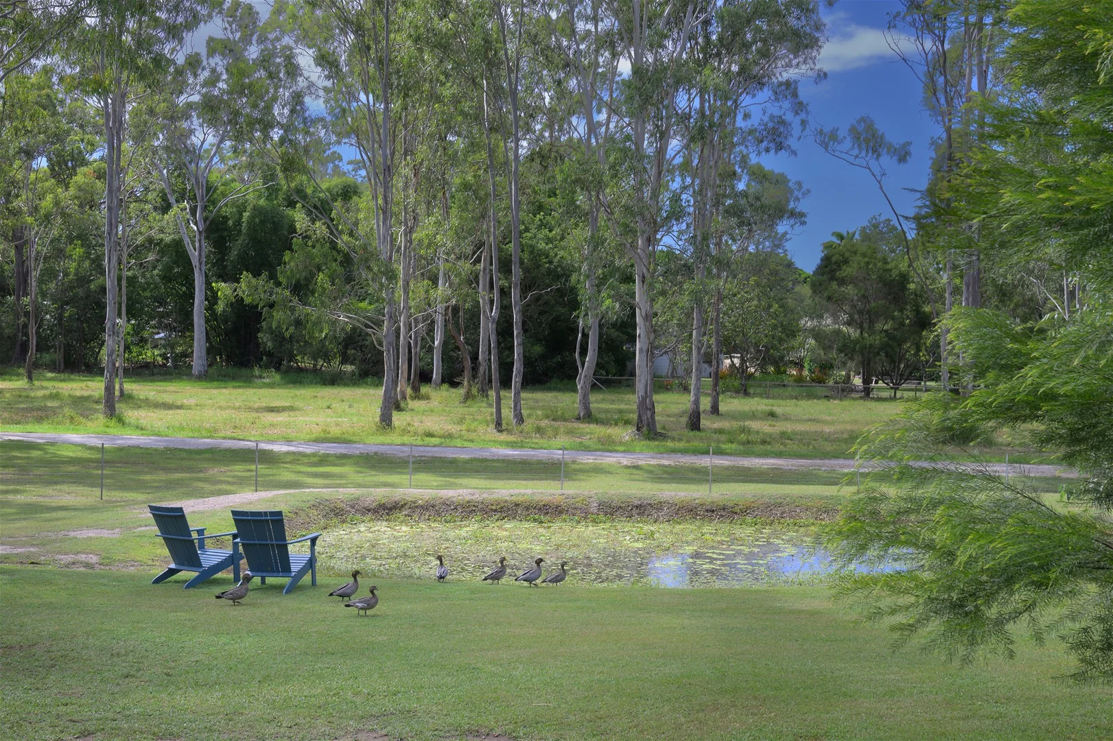 Additional image 23 of 16 Irma Court, Benaraby QLD 4680