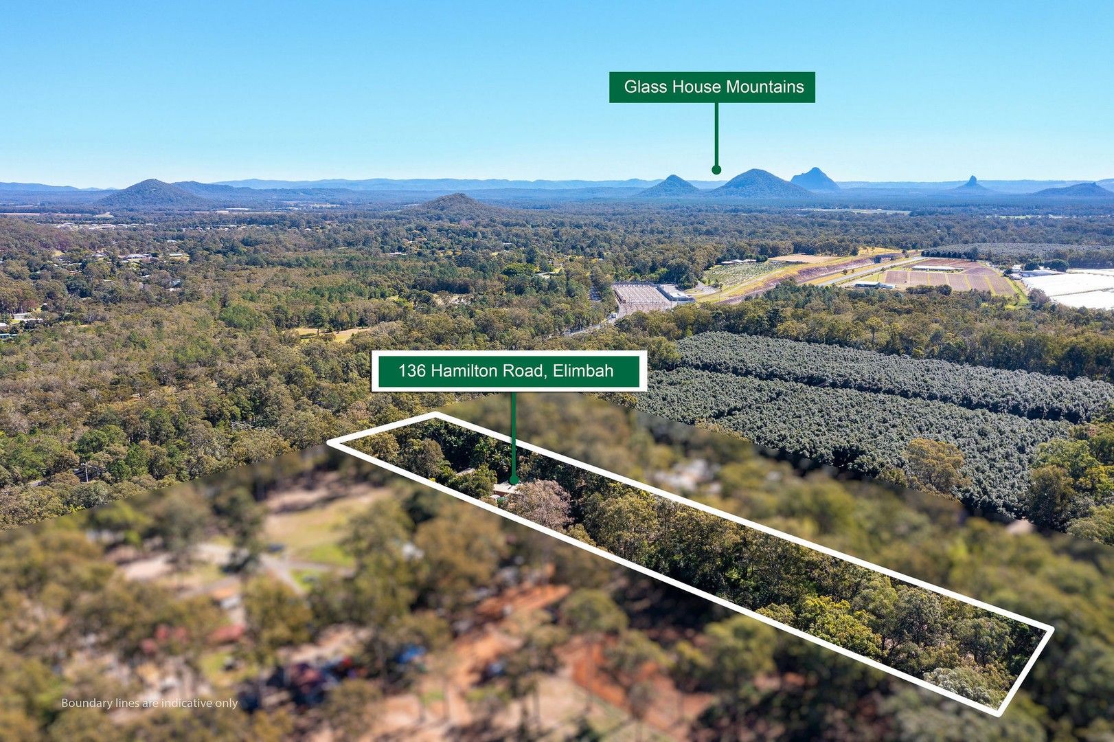 5 bedrooms House in 136 Hamilton Rd ELIMBAH QLD, 4516