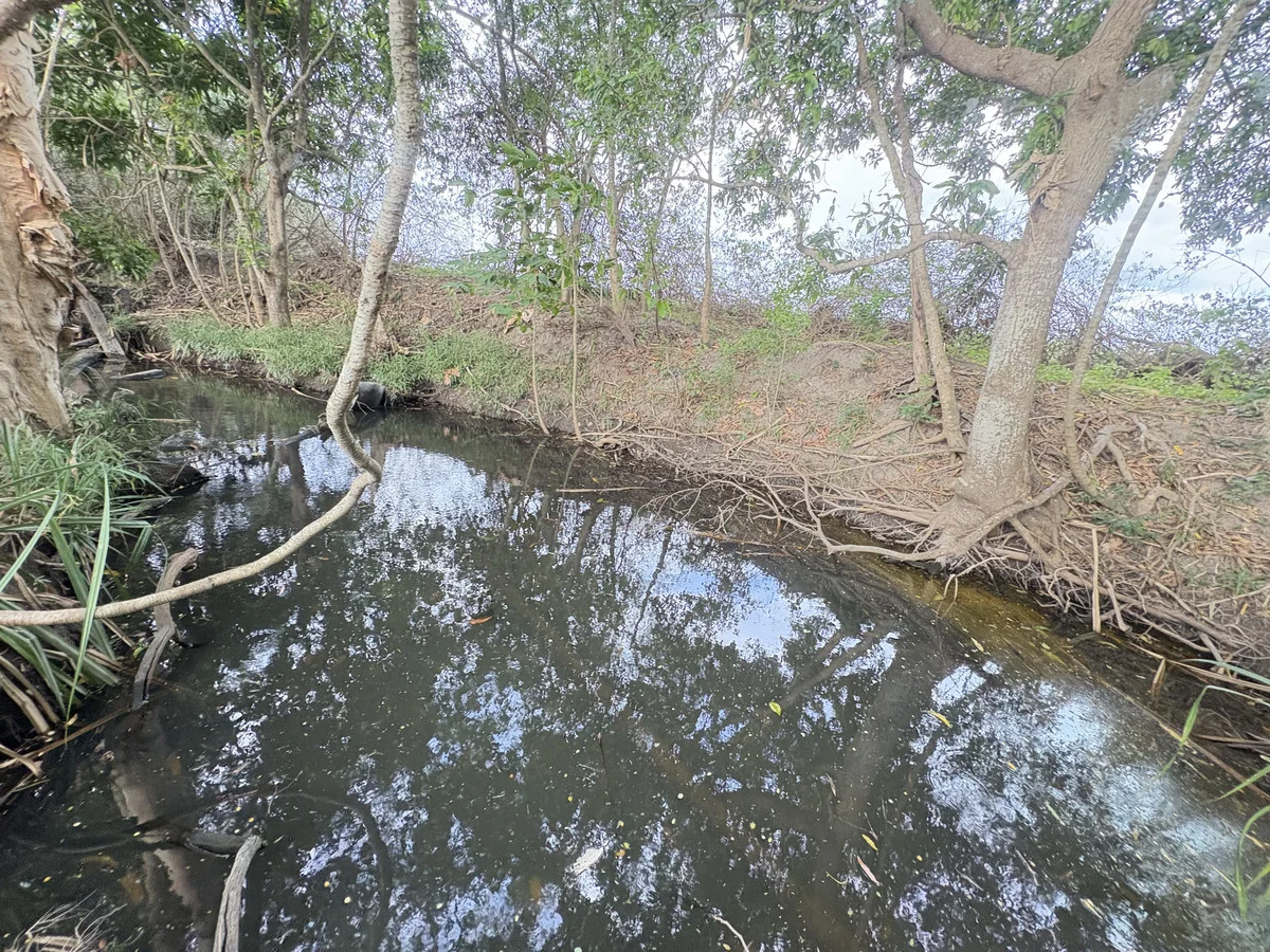 Image 15