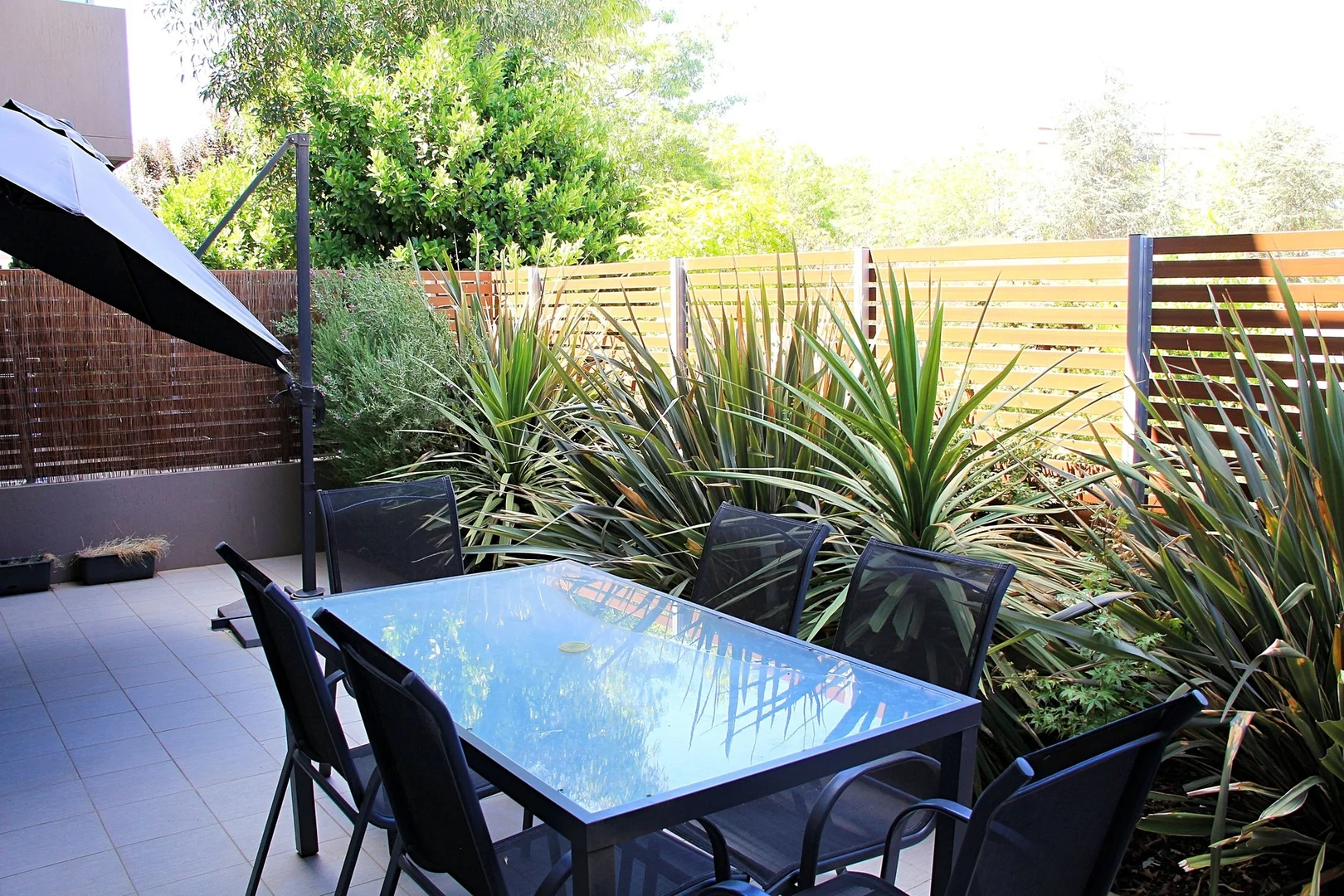 Additional image 9 of 25/121 Easty Street, Phillip ACT 2606