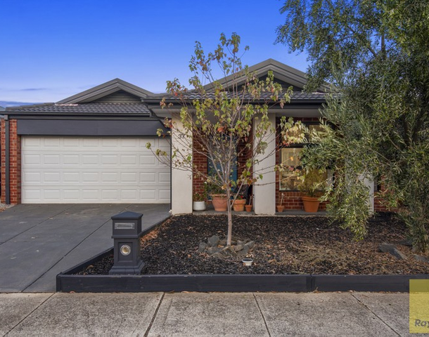 37 Rockpool Road, Truganina VIC 3029