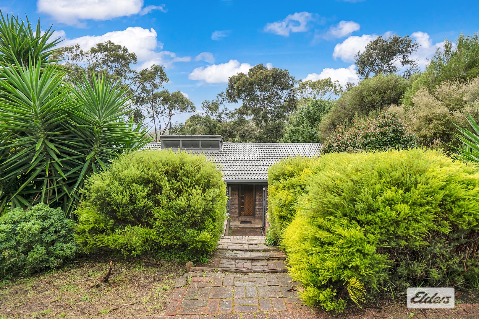 9 Hillsdale Avenue, Coromandel Valley SA 5051, Image 1