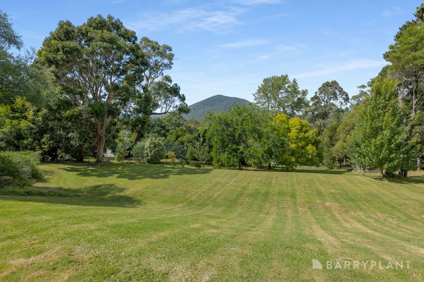 19 Graceburn Avenue, Healesville VIC 3777, Image 1