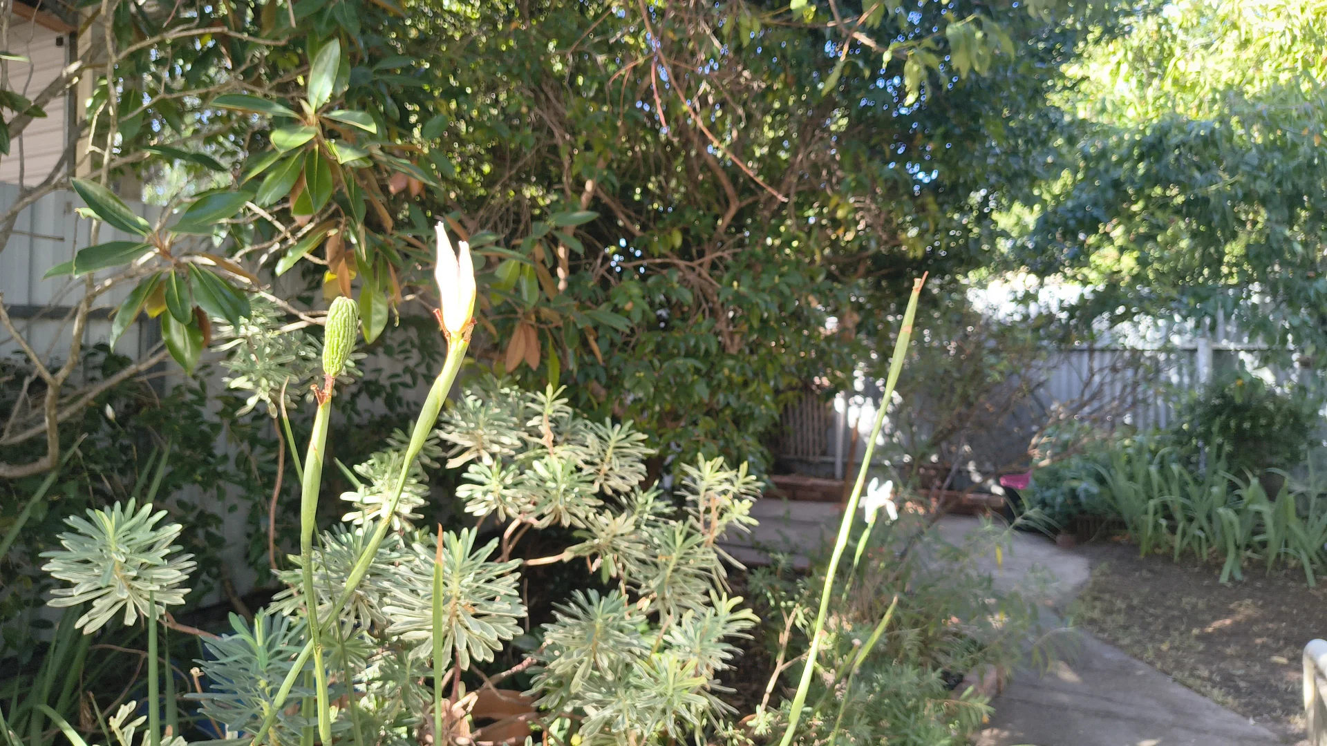Image 22