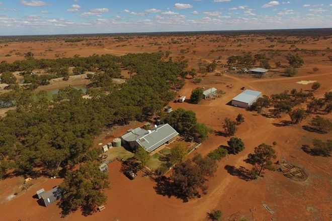 Picture of Rosewood Station, WILCANNIA NSW 2836