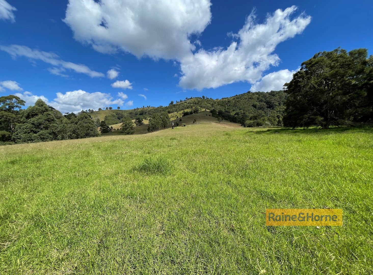 Dungog NSW 2420 House for Sale 760,000 Domain