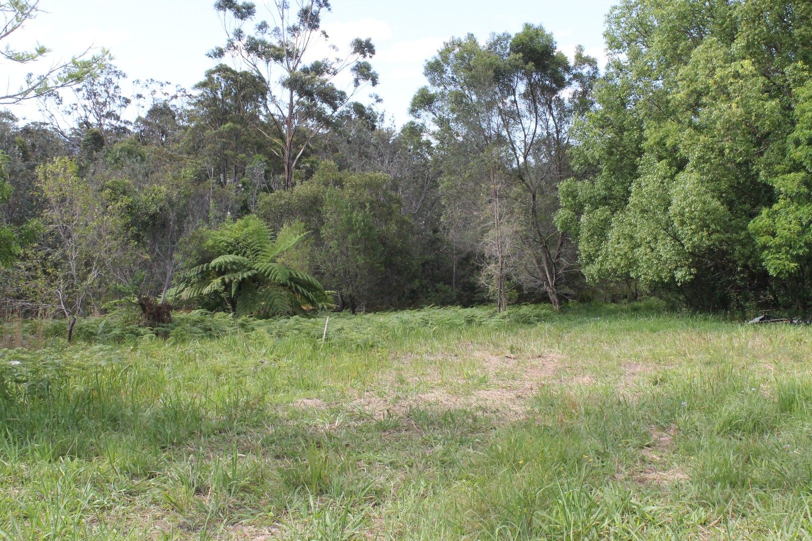 Vacant land in Lot 13 DP1176070 Shortcut Road, RALEIGH NSW, 2454