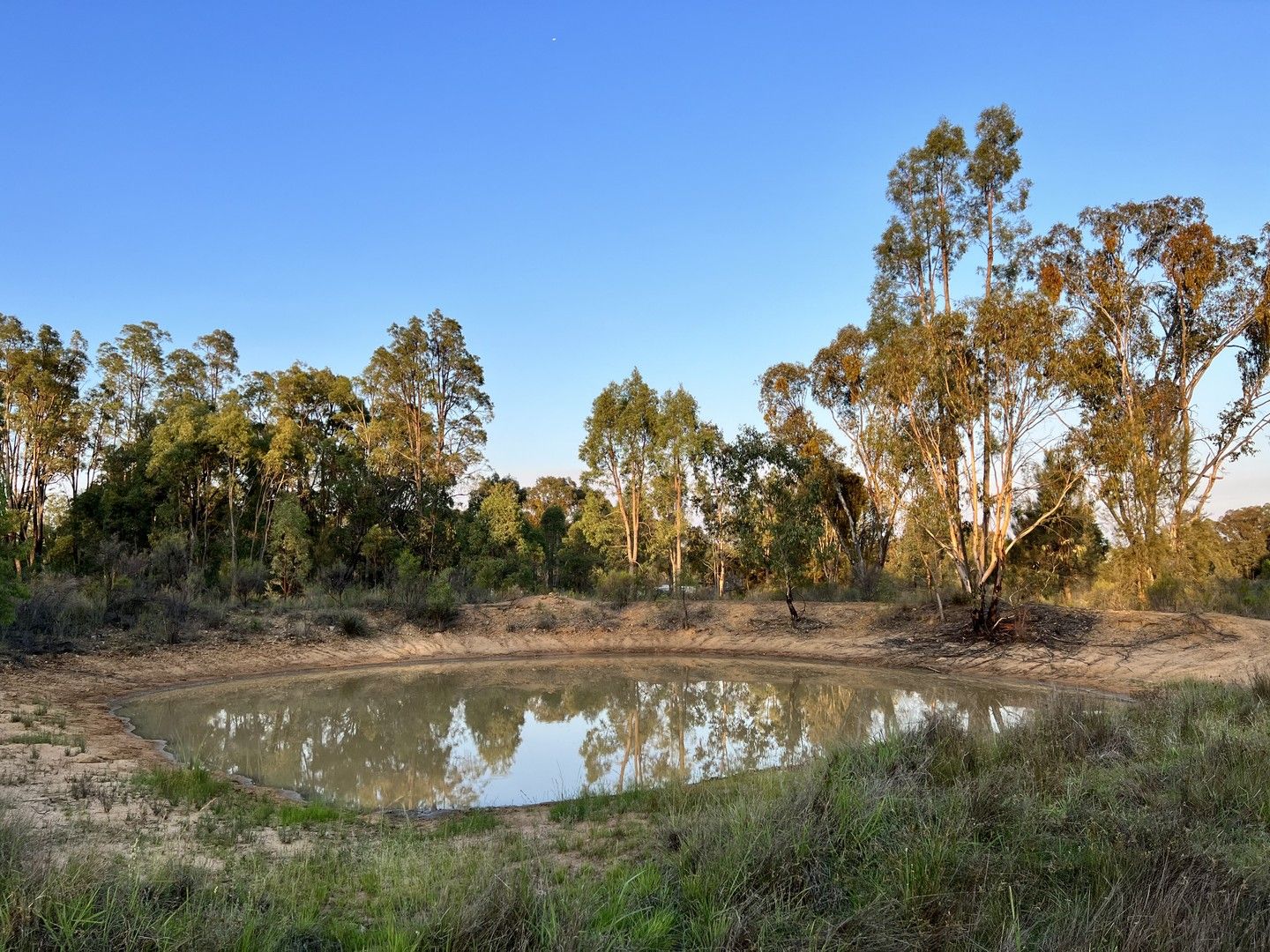 1295 Brooks Road, Binnaway NSW 2395, Image 0