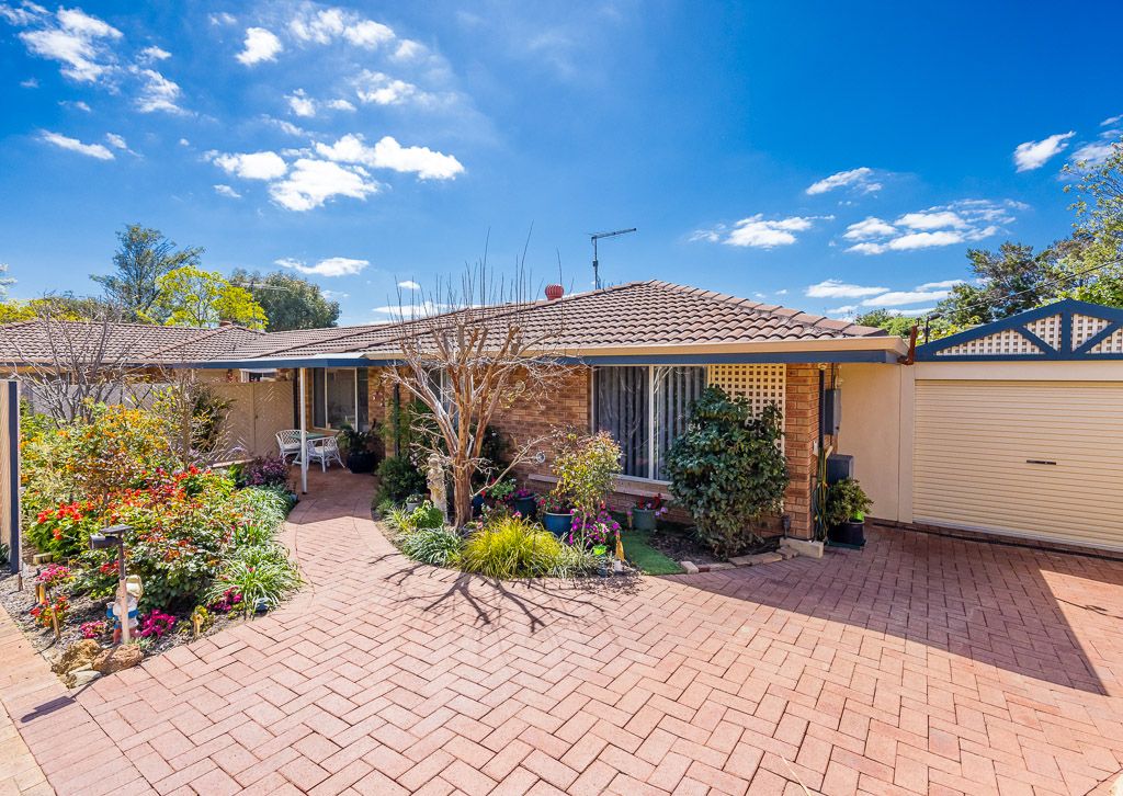 3A Henton Place, Heathridge WA 6027 House For Rent Domain