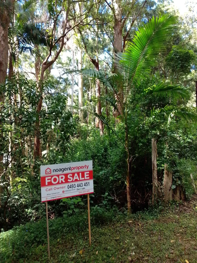 Additional image 7 of 2195 Springbrook Road, Springbrook QLD 4213