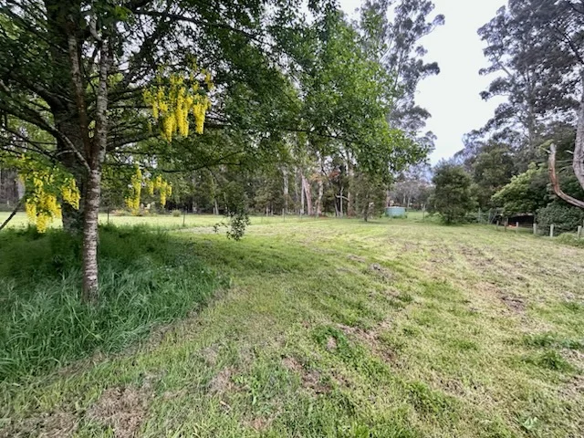 Image 19
