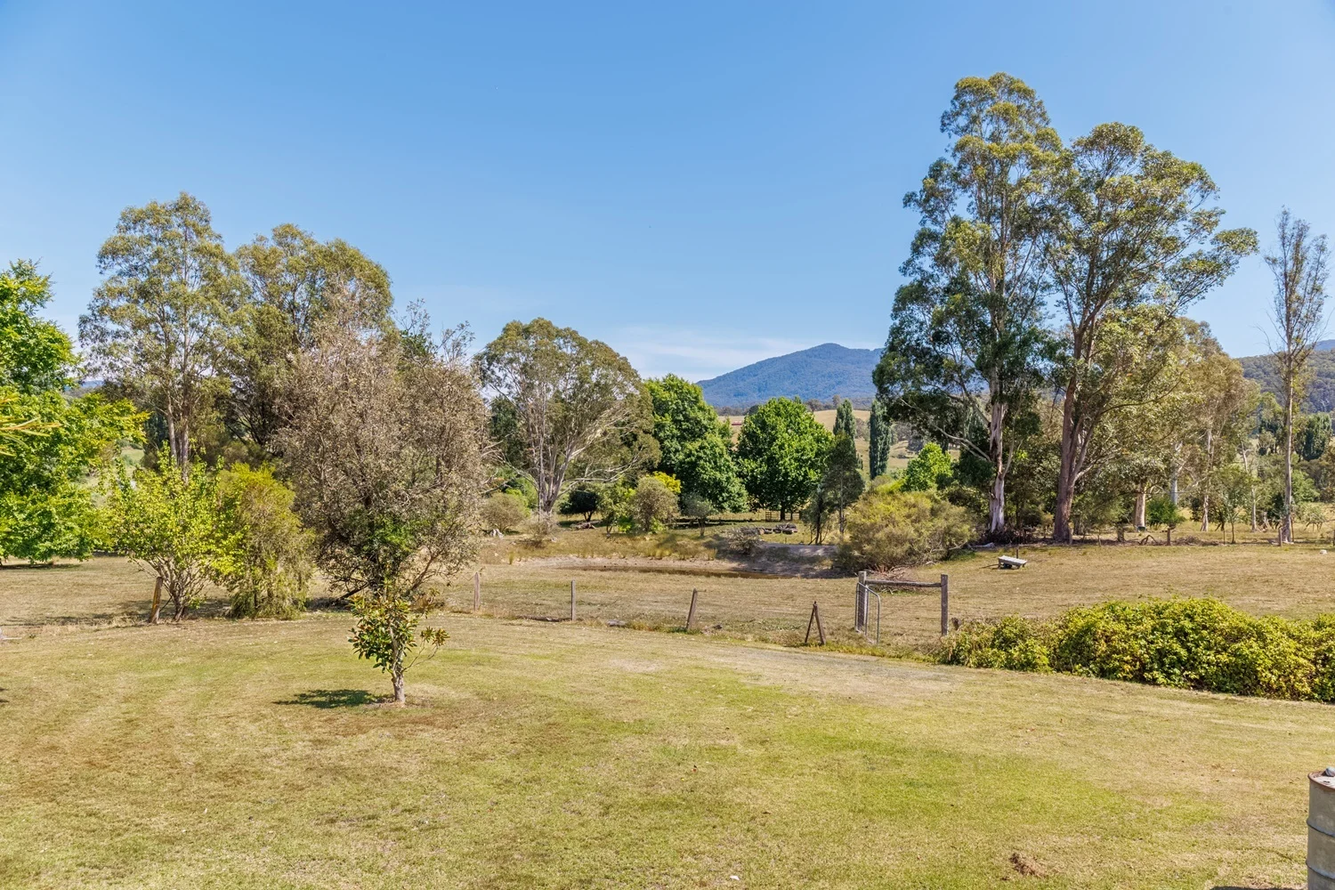 Additional image 20 of 19-21 Towamba St, Towamba NSW 2550