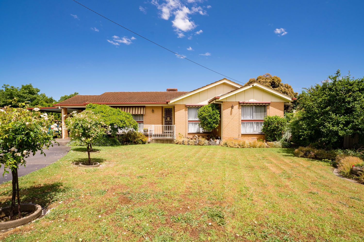 571 Brown Place, Lavington NSW 2641, Image 2