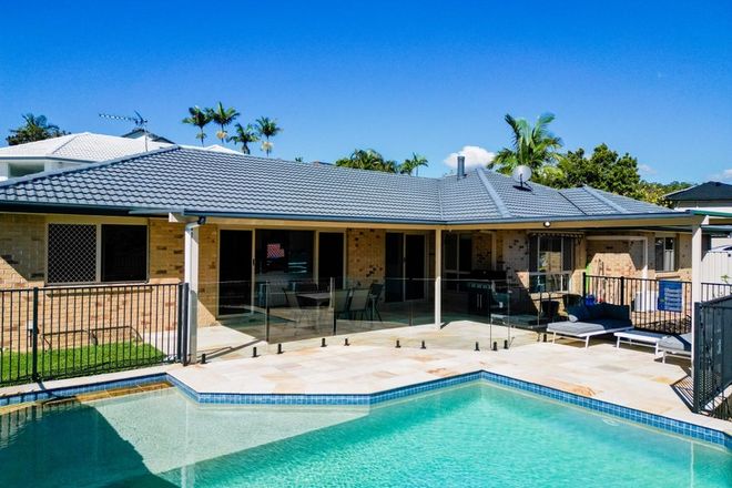 Picture of 28 Wollemi Court, REEDY CREEK QLD 4227