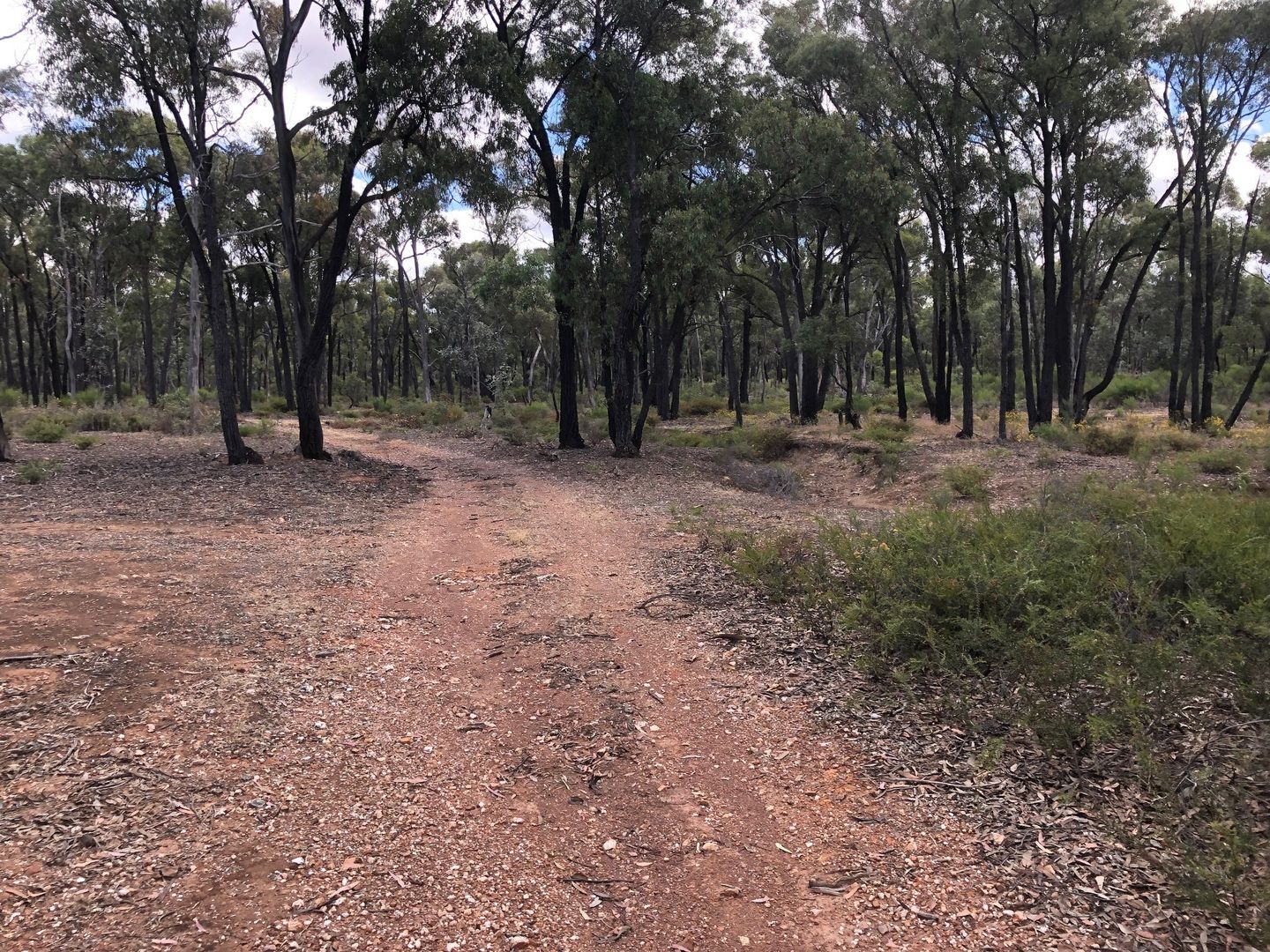 16 Lytton Street, Tarnagulla VIC 3551, Image 1