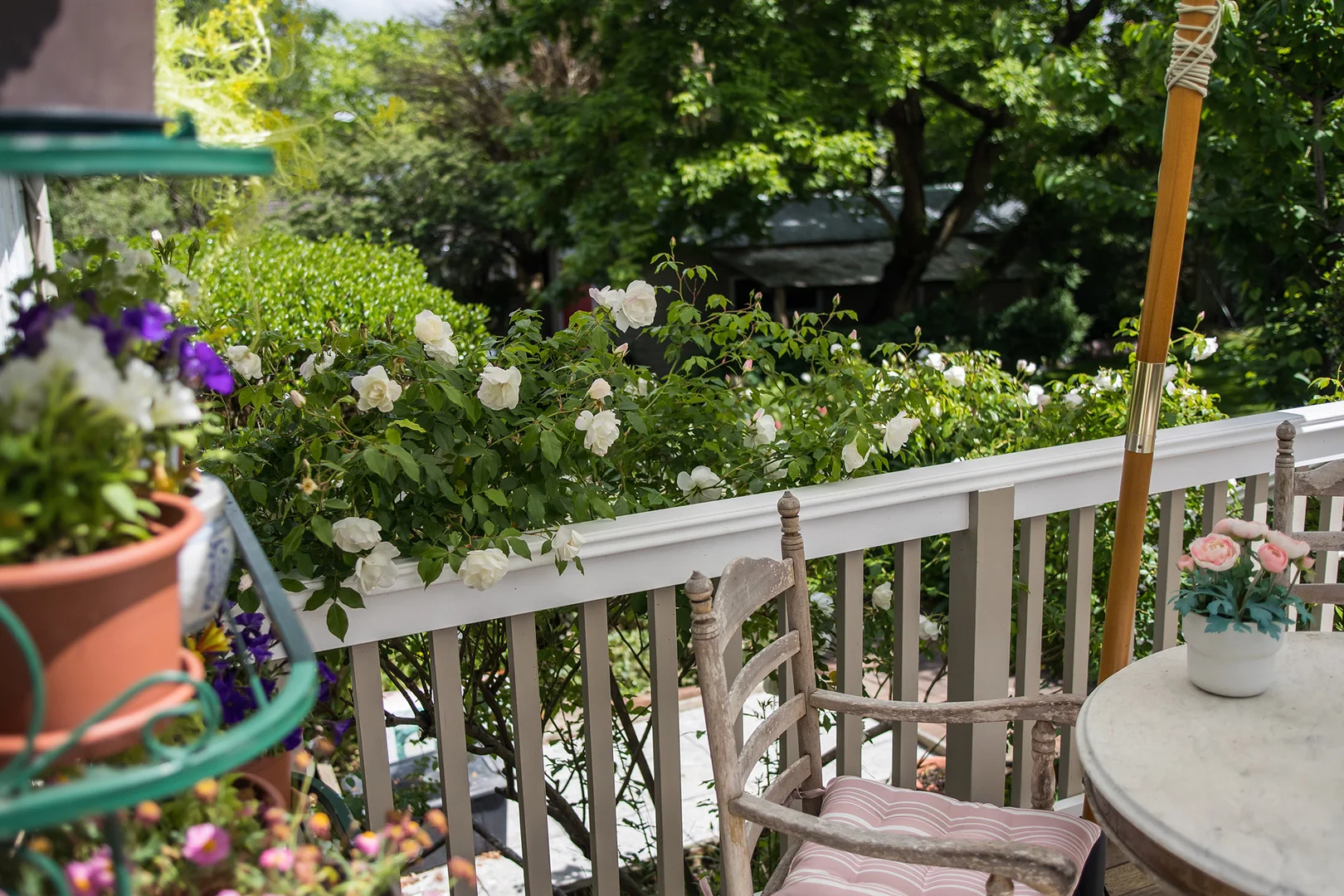 Additional image 26 of 26 Clarke Street, Bowral NSW 2576