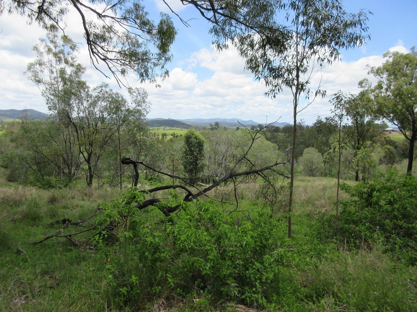 Lot 1 Walters Road, New Moonta QLD 4671, Image 1