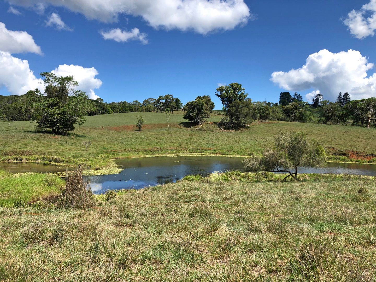 Lake Barrine QLD 4884, Image 2