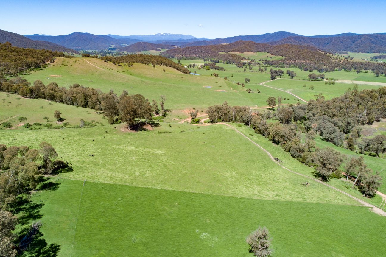 Lot 1 & 2 Bullhead Road, Mitta Mitta VIC 3701, Image 1