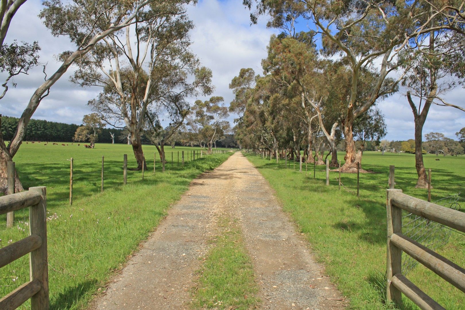 545 Casterton-Penola Road, Casterton VIC 3311, Image 0