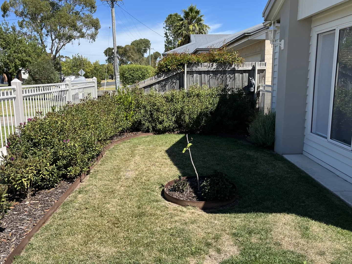 Image 15