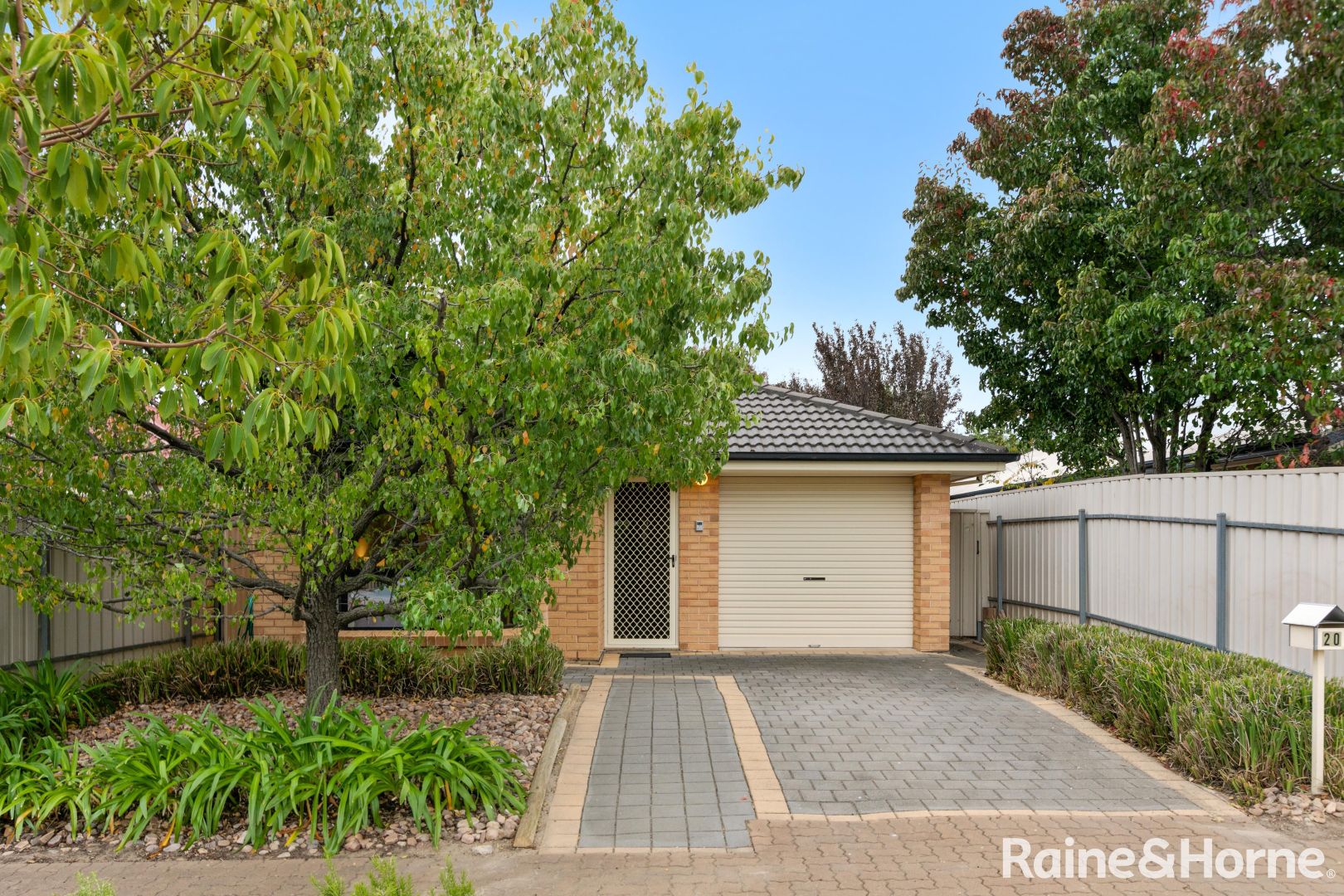 20 Mckinlay Avenue, Gilles Plains SA 5086, Image 1