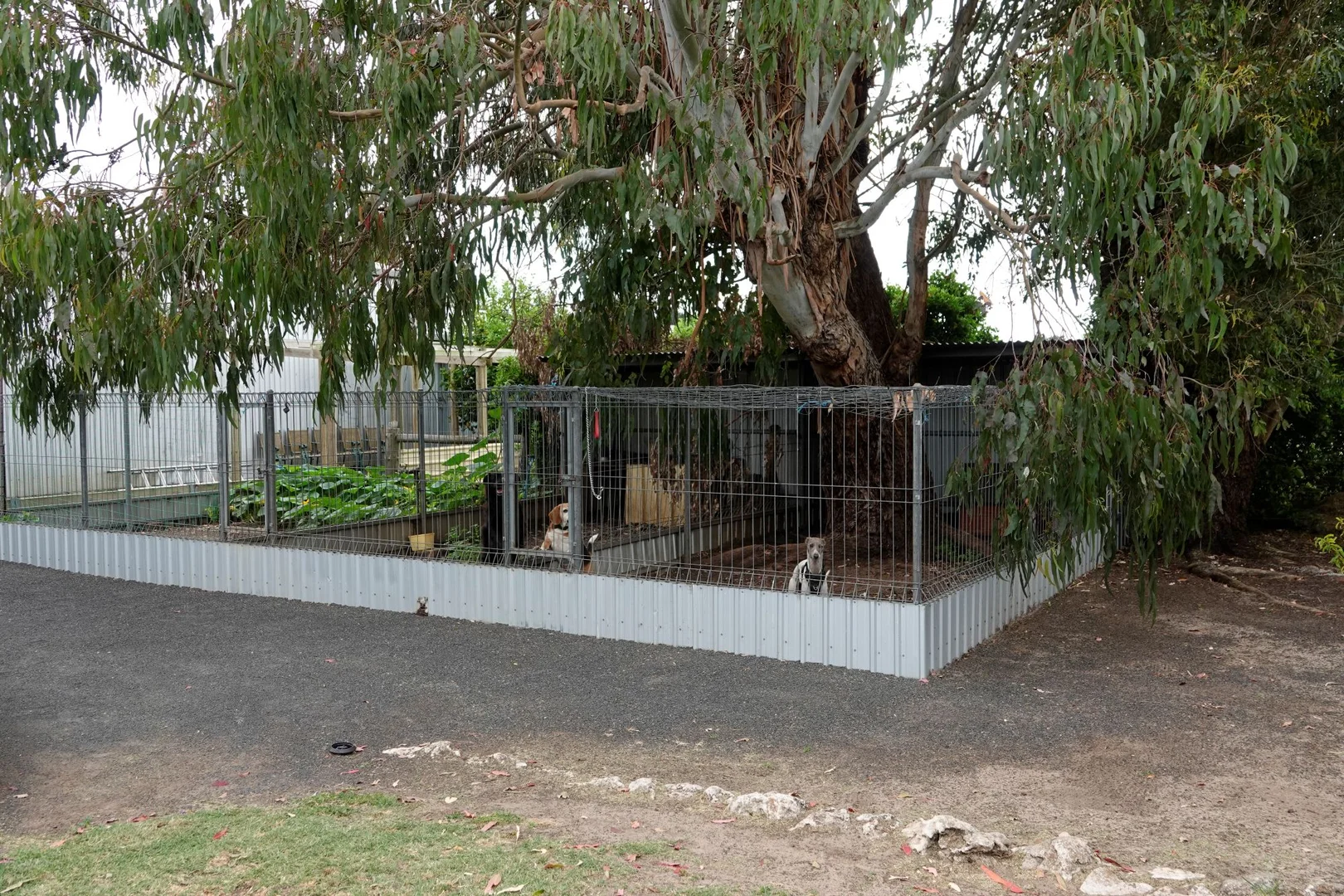 Image 18