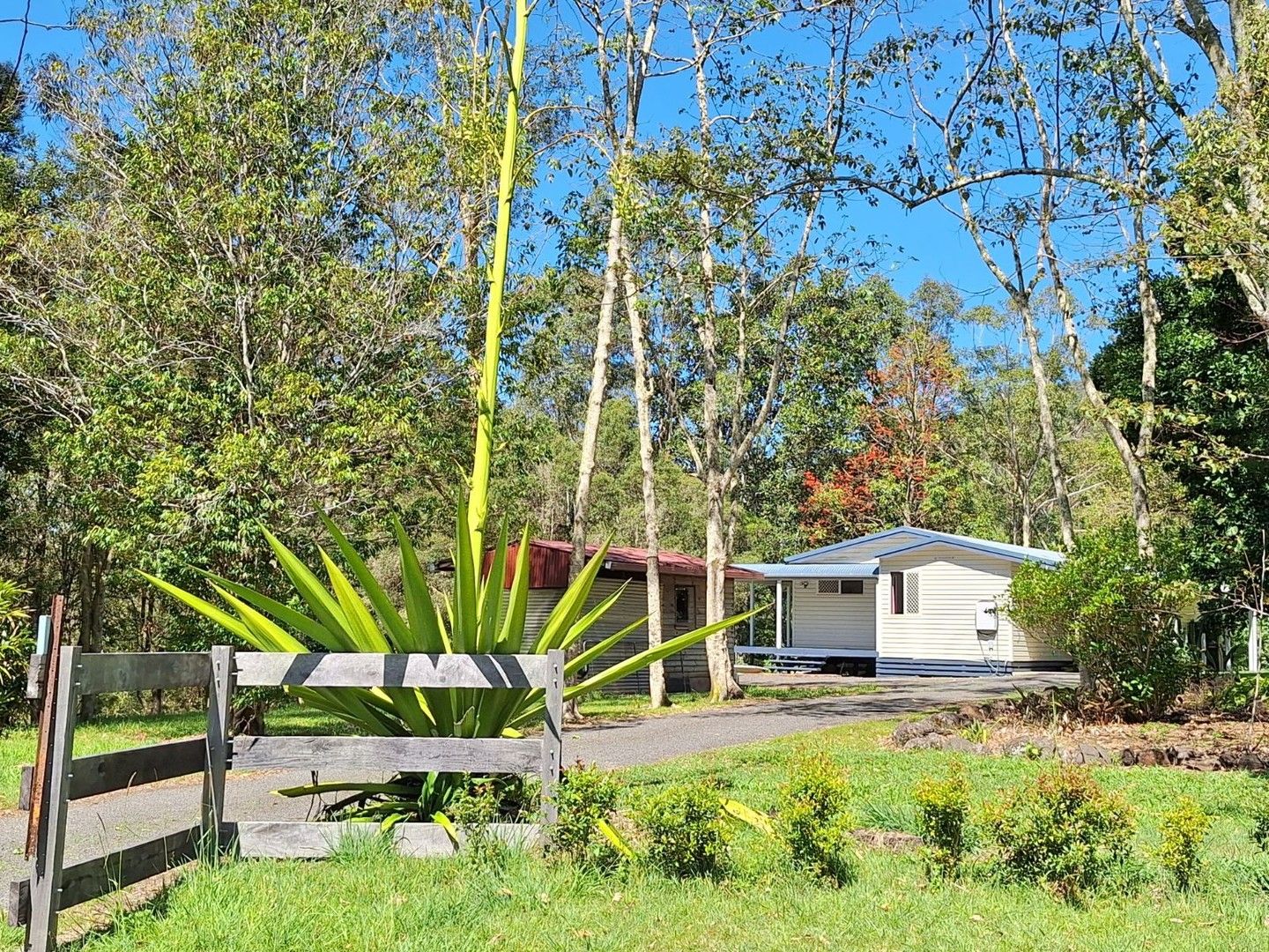 10 BELLERIDGE ROAD, Nimbin NSW 2480 Rural Lifestyle Property for Sale