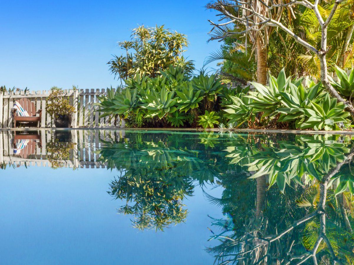  Coolamon Scenic Drive, Coorabell NSW 2479 House For Rent Domain