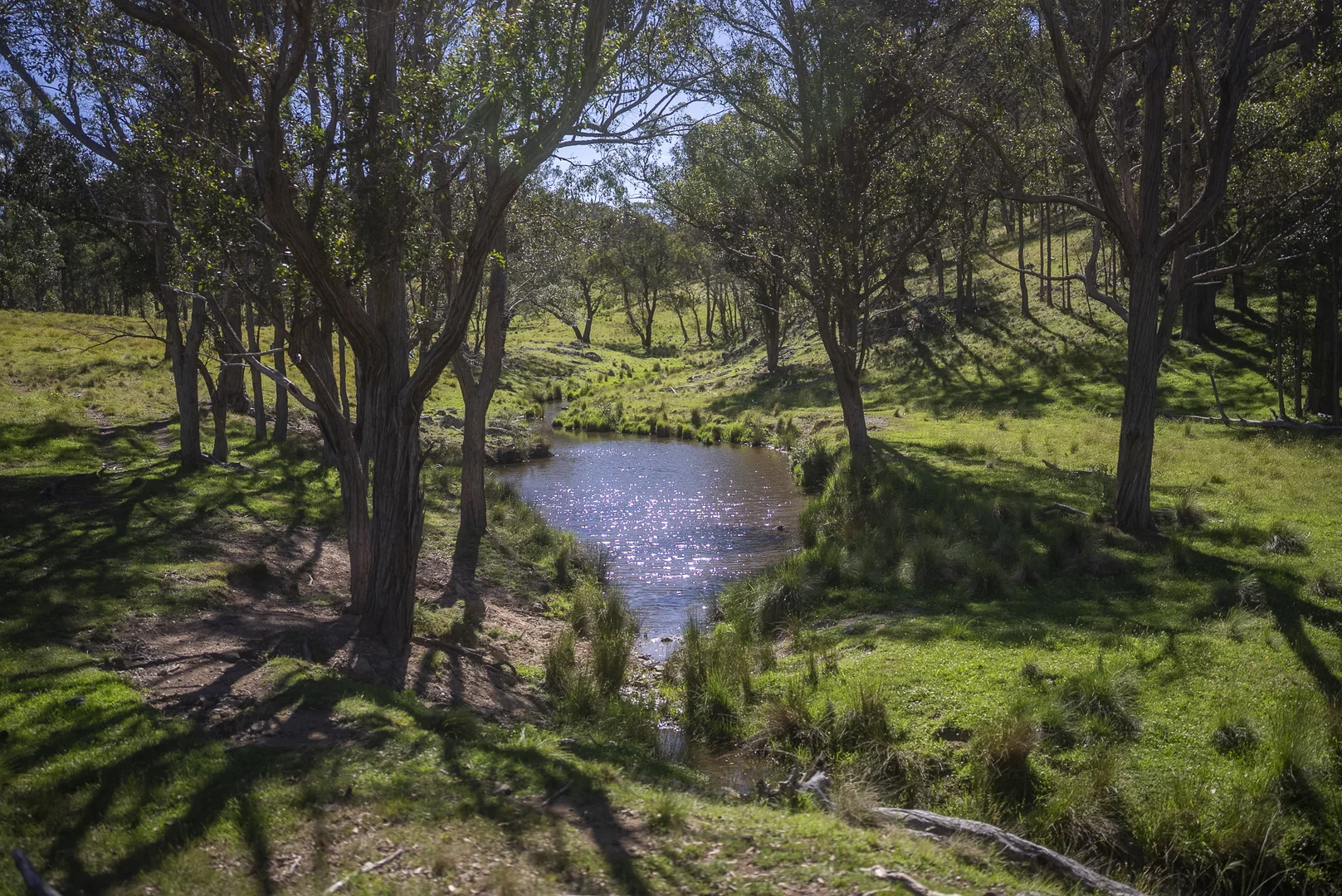 Additional image 26 of 161 Hickeys Road, Wongwibinda NSW 2350