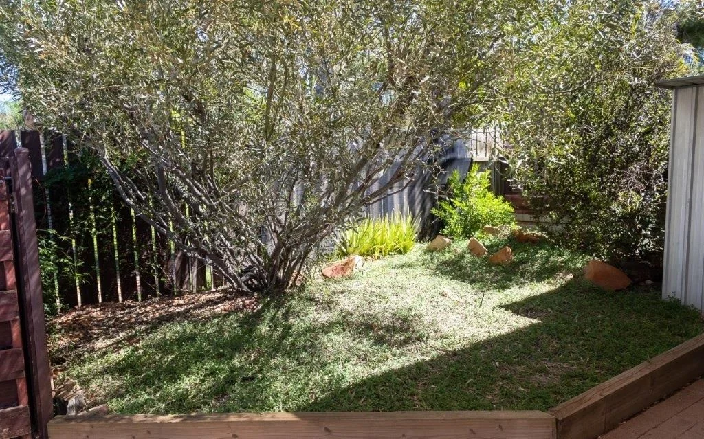 Image 15