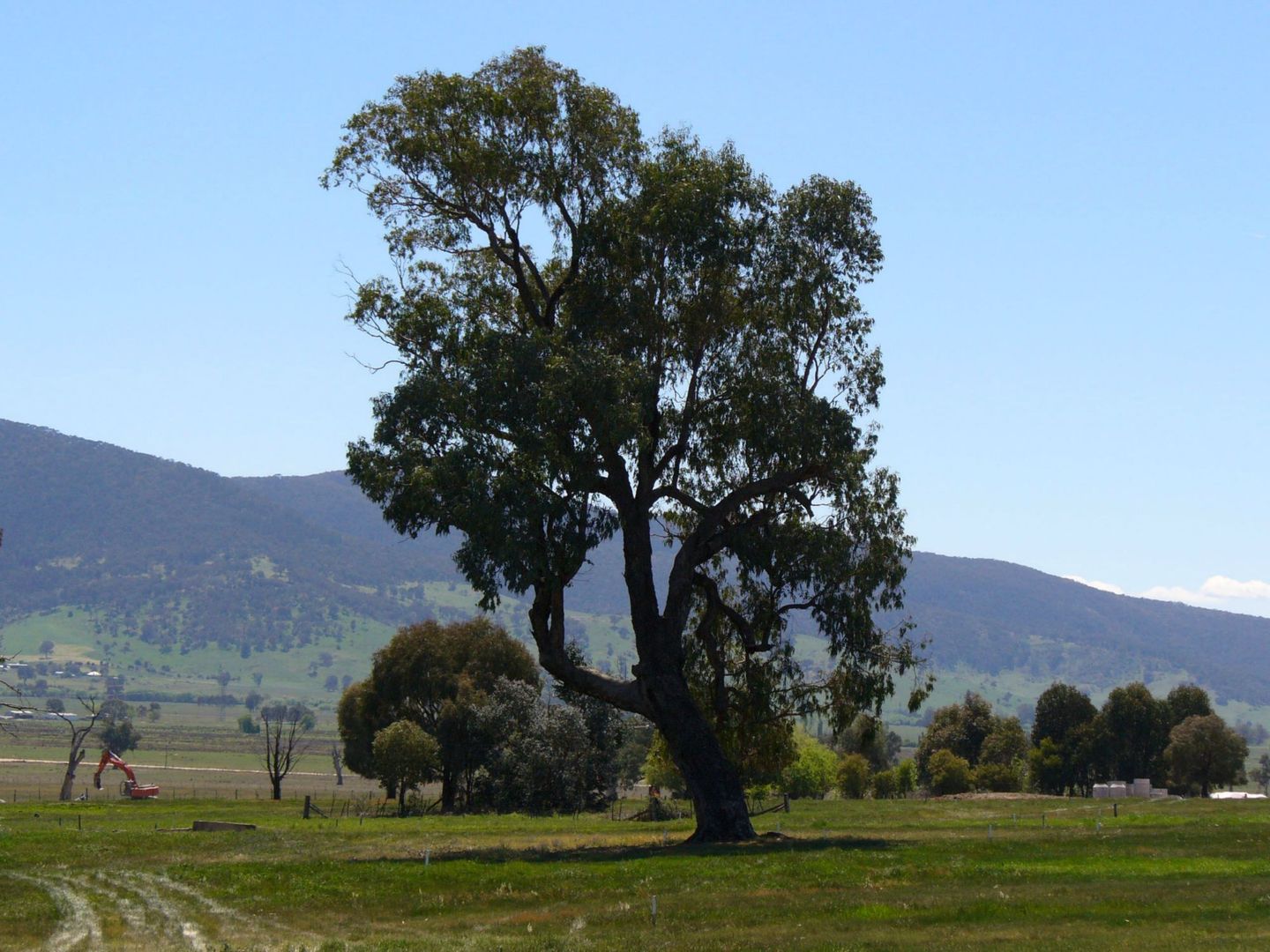 Corryong VIC 3707, Image 2