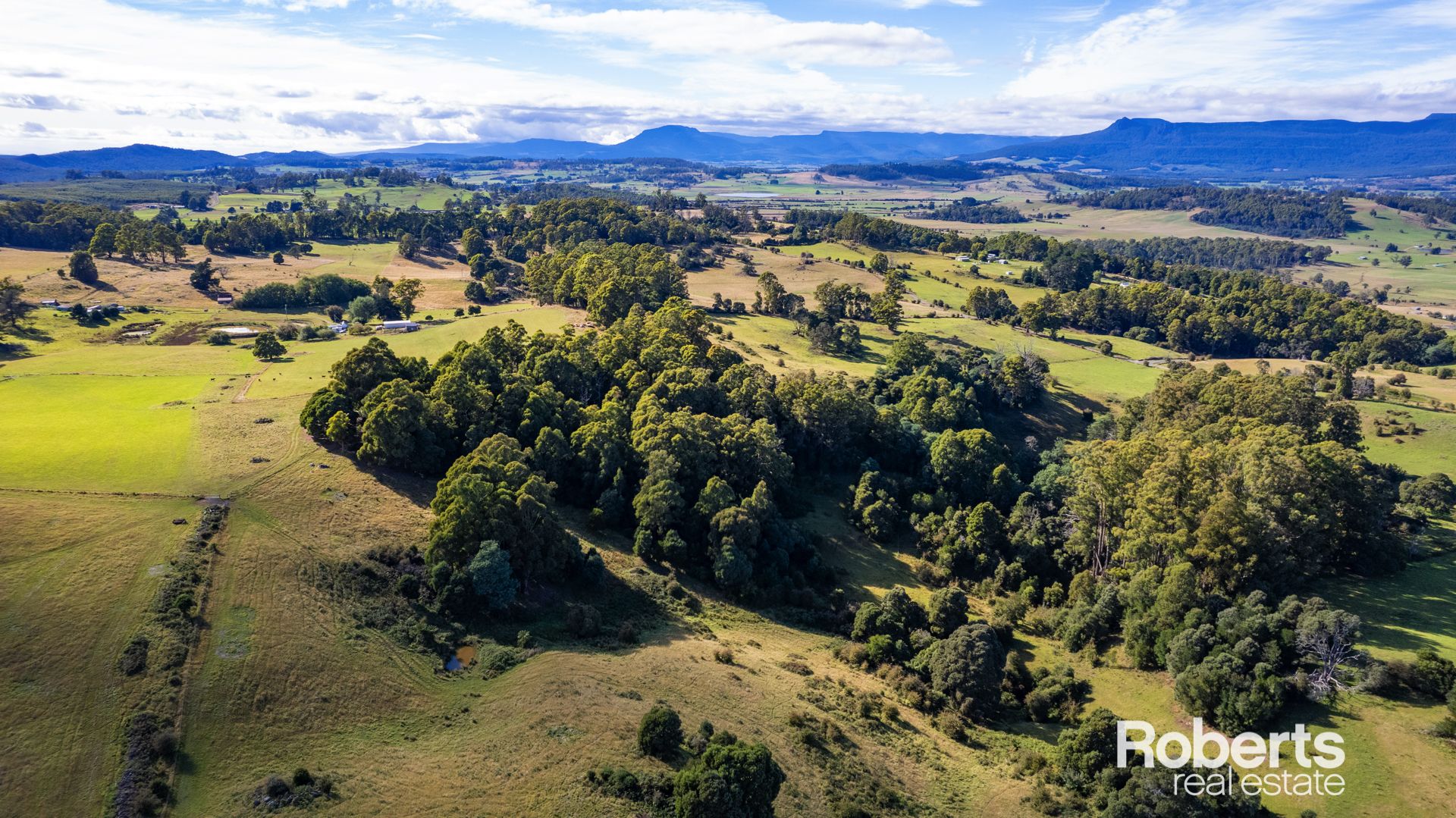 Lot 2 - 5 Miles Road & Mersey Hill Road, Mole Creek TAS 7304, Image 2