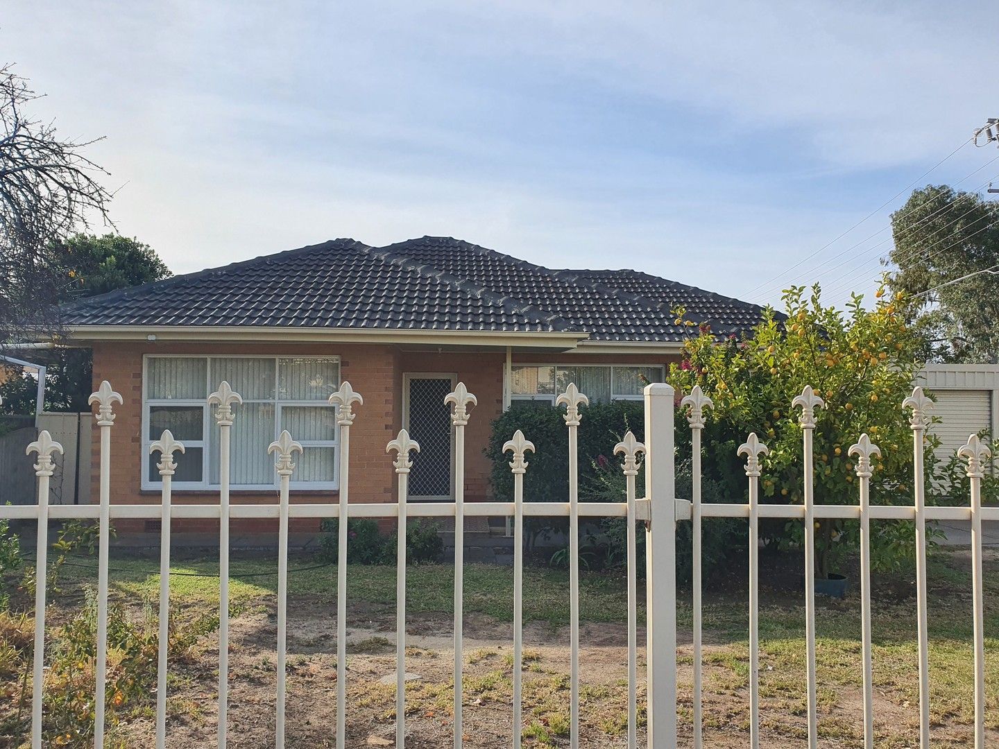 31 GRAVES STREET, Newton SA 5074, Image 1