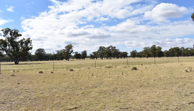 Picture of 987 Boorr Hill Road, BRUIE PLAINS NSW 2875