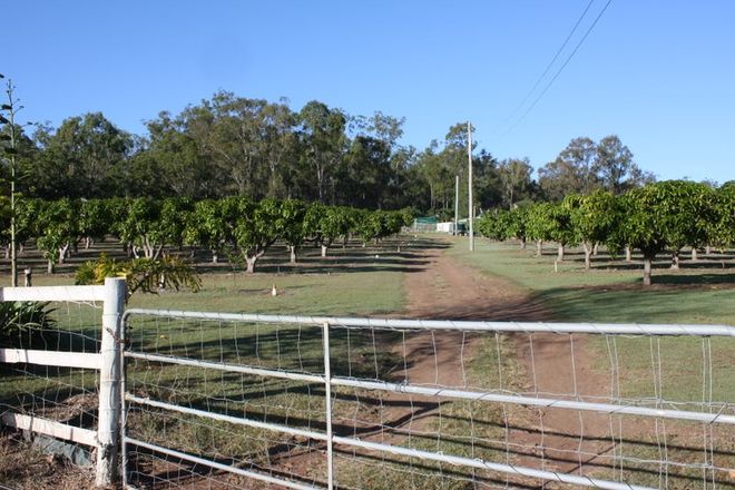 Picture of DELAN QLD 4671