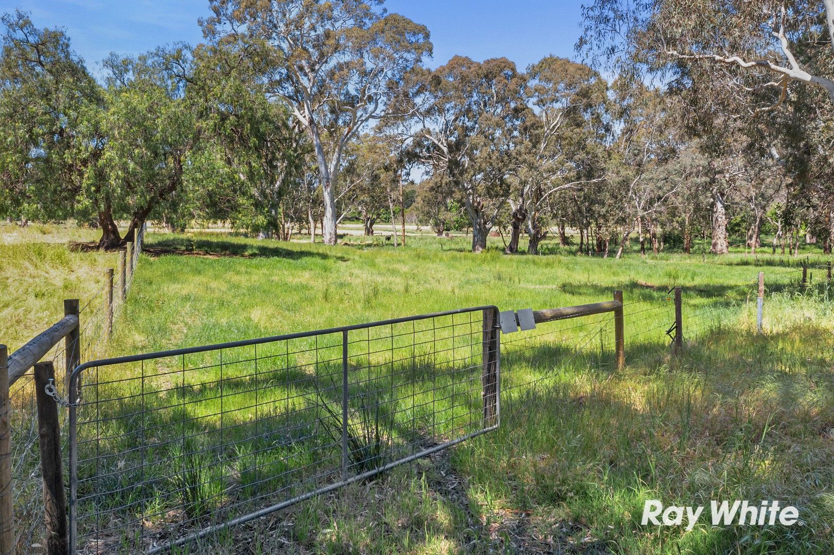 Lot 101 Kirkham Road, Ashbourne SA 5157, Image 0