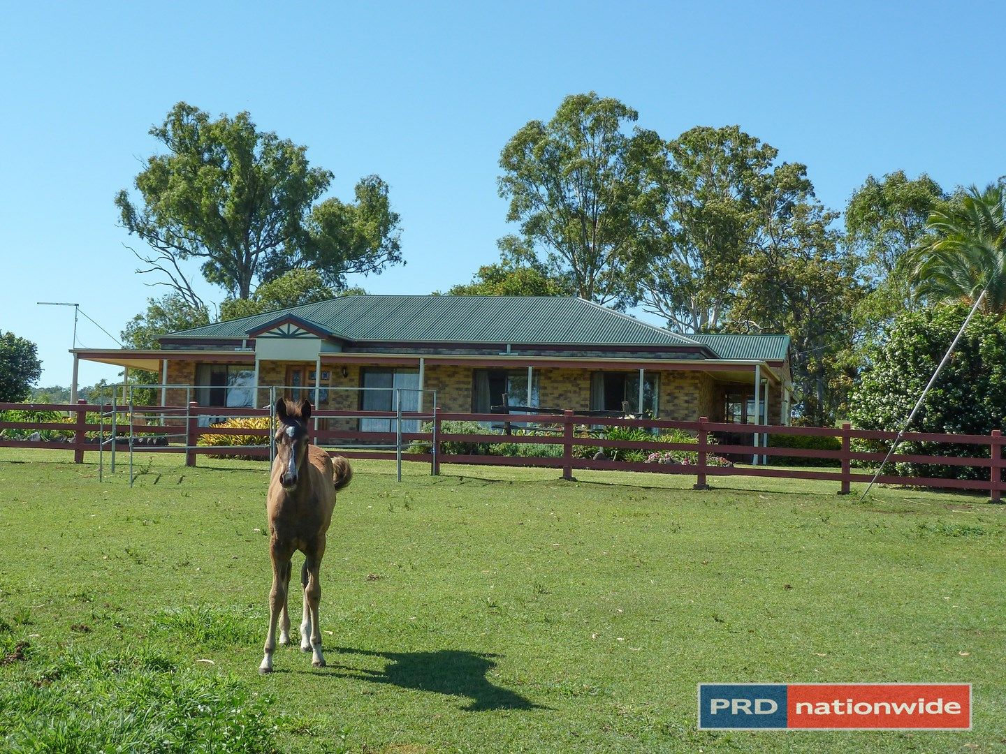 901 Afterlee Road, Kyogle NSW 2474, Image 1