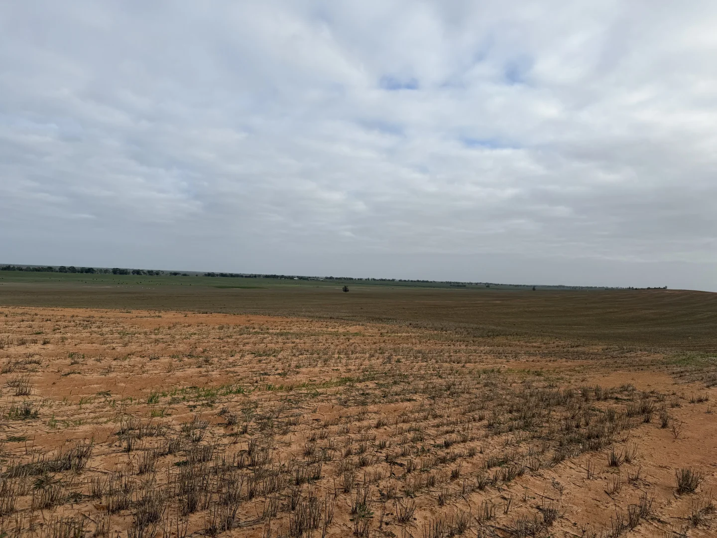 Additional image 7 of 'Grogans' Banyenong-Jeffcott Road, Jeffcott North VIC 3480