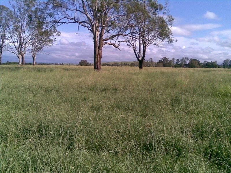 Rural in 165 Bend Rd, CASINO NSW, 2470