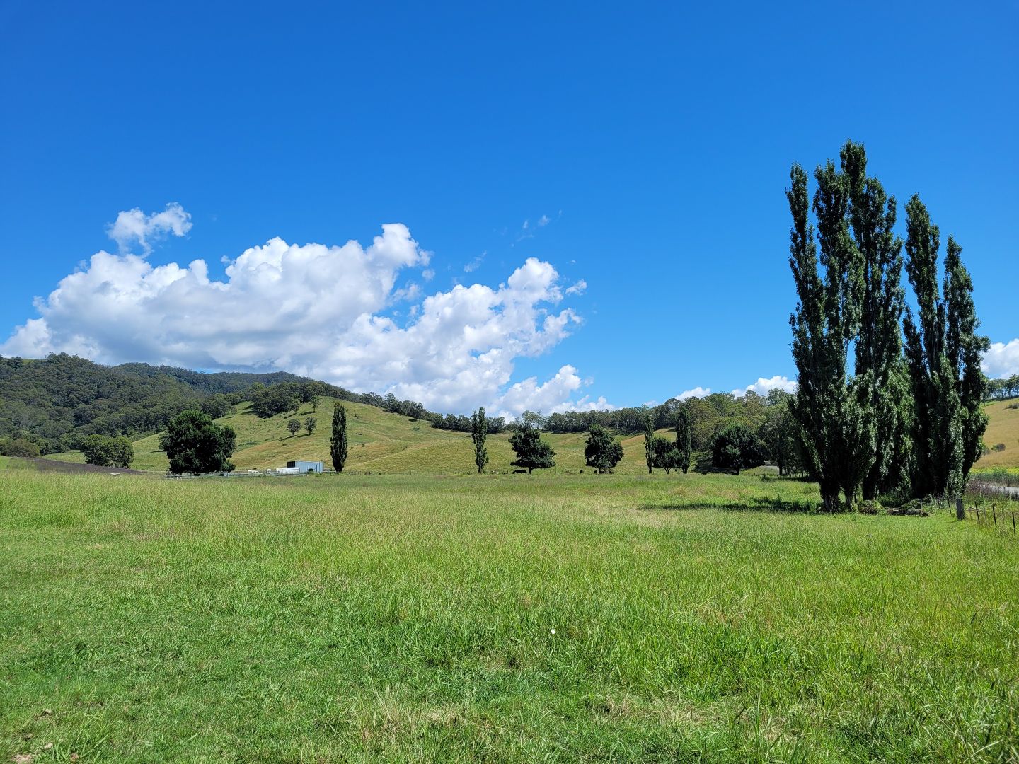 Lot 2 Neringla Road, Neringla NSW 2622, Image 2