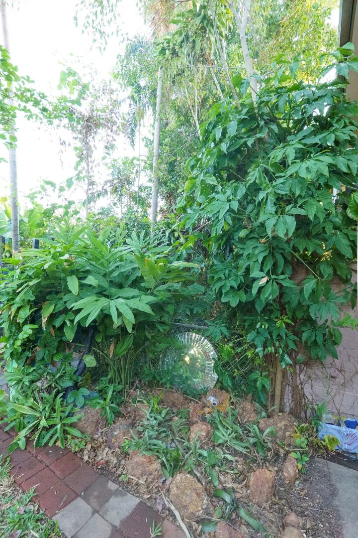 Image 28